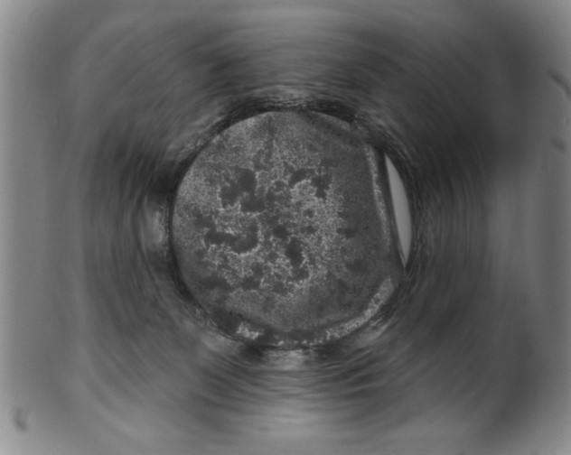 X0000100390131200806271406