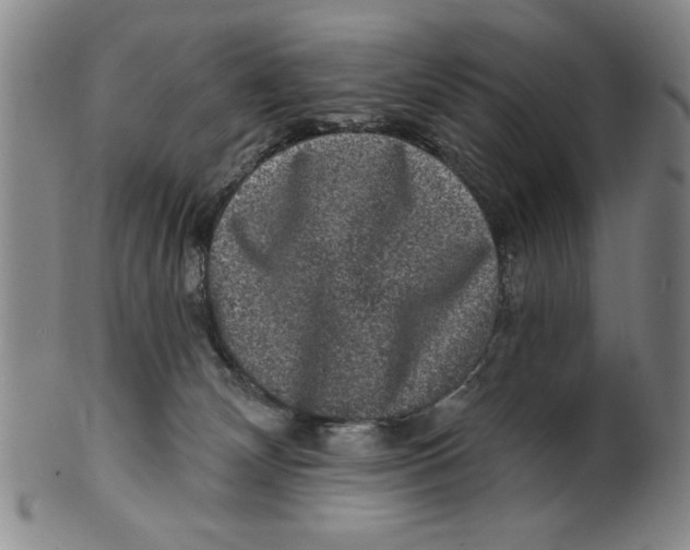 X0000100390132200806271406