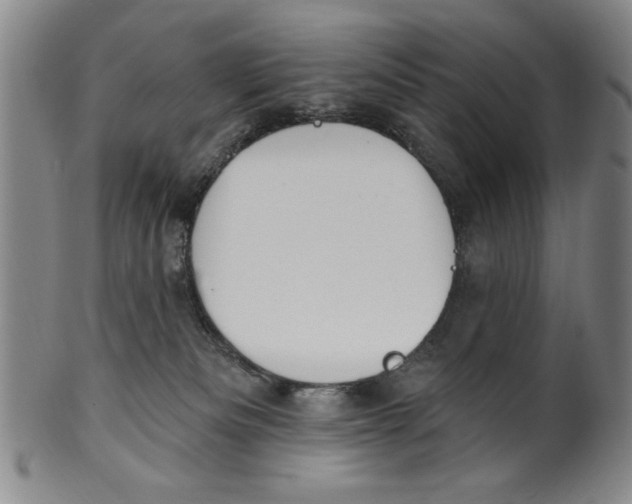 X0000100390133200806271406