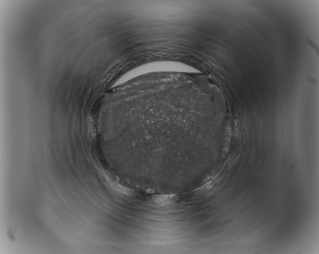 X0000100390136200806271406