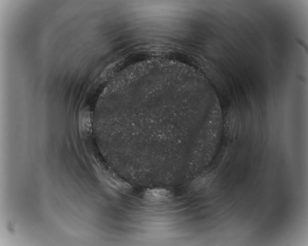 X0000100390137200806271406