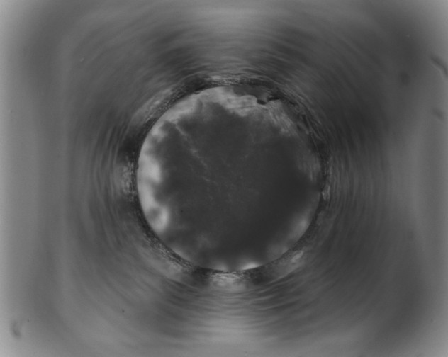 X0000100390139200806271406