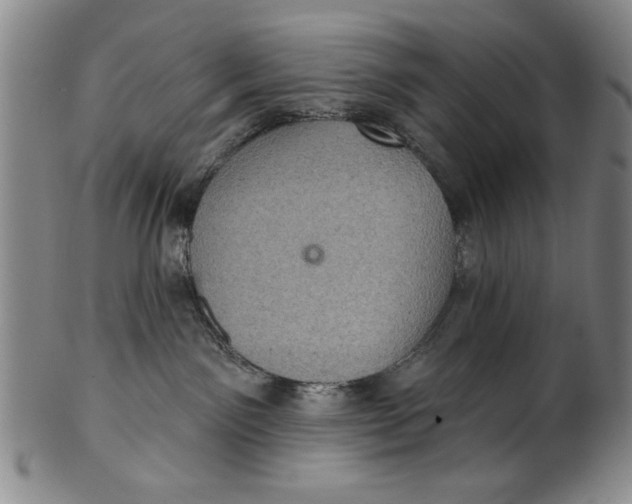 X0000100390141200806271406