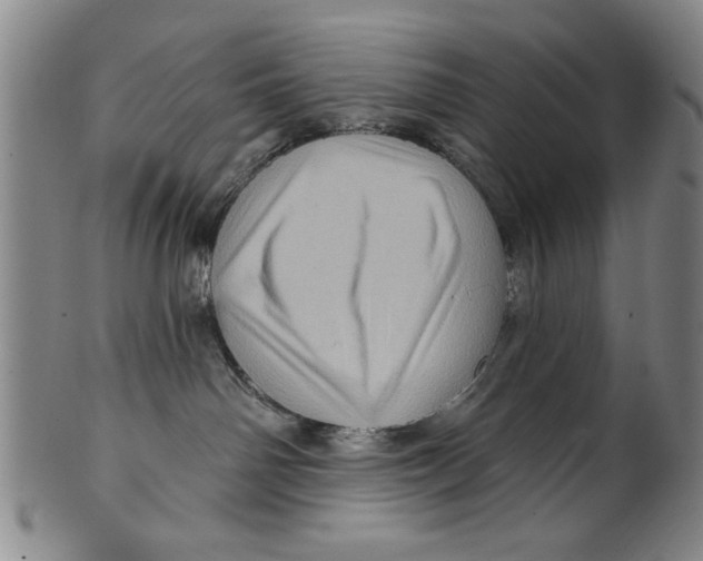 X0000100390142200806271406