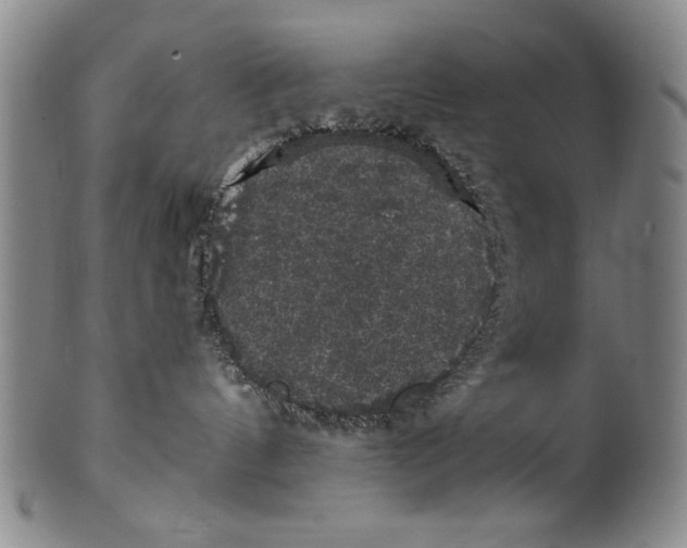 X0000100390144200806271406