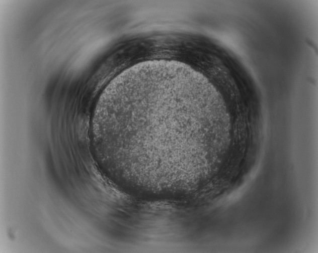 X0000100390146200806271405