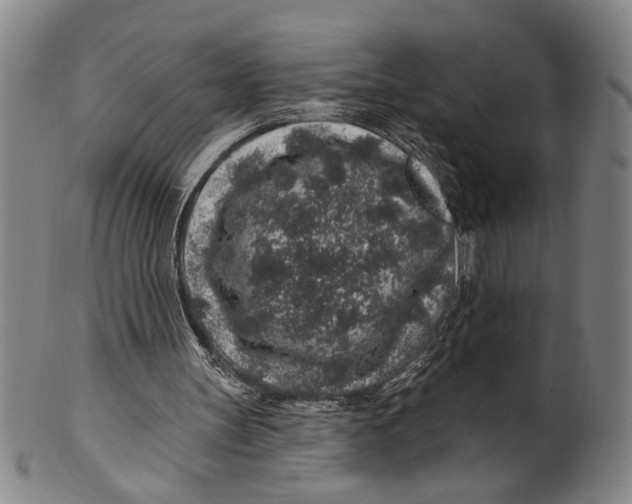 X0000100390147200806271405