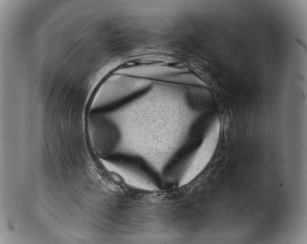 X0000100390148200806271405