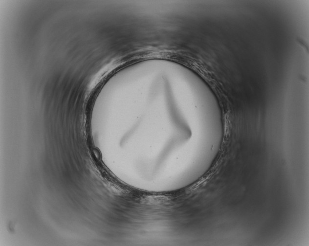 X0000100390150200806271405