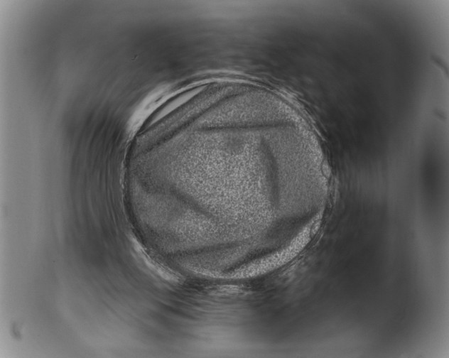 X0000100390151200806271405