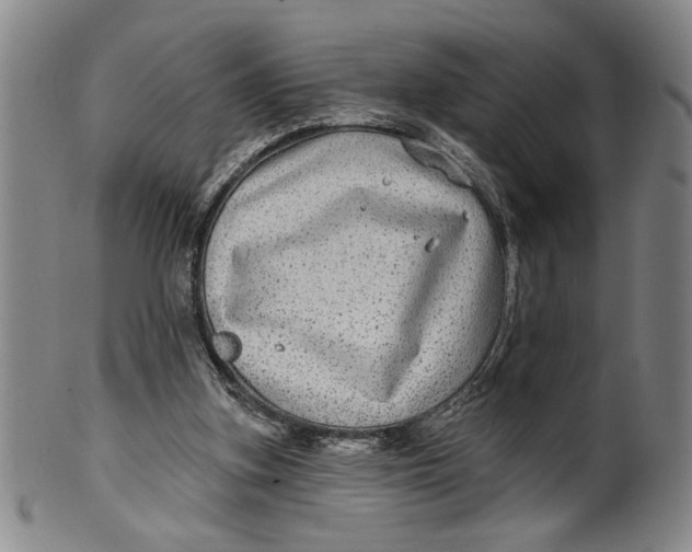 X0000100390155200806271405