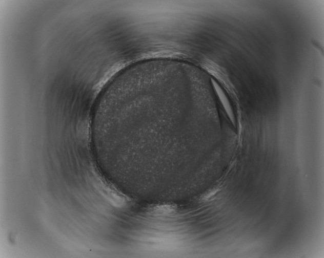 X0000100390156200806271405