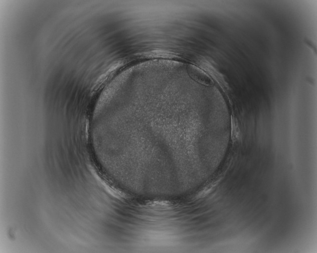 X0000100390157200806271405