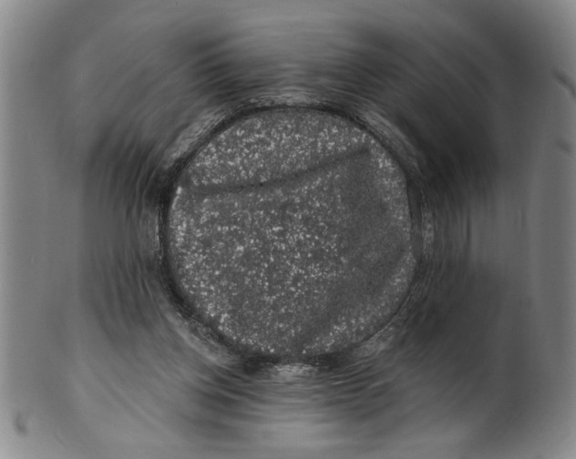 X0000100390158200806271405