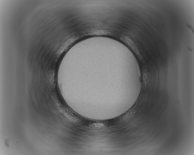 X0000100390159200806271405