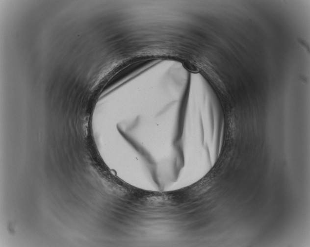 X0000100390160200806271405