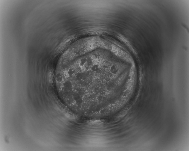 X0000100390161200806271405