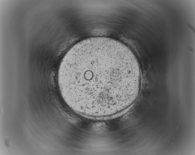 X0000100390162200806271405