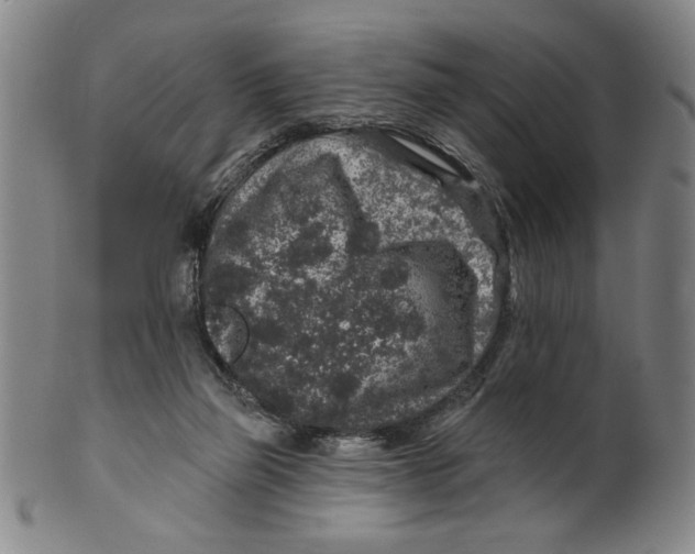 X0000100390165200806271405