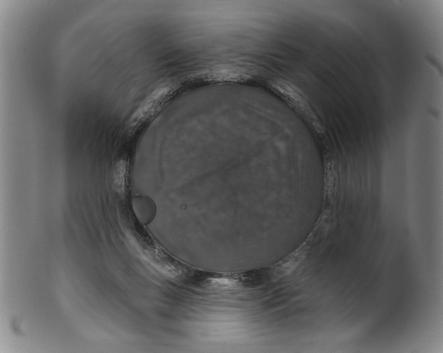 X0000100390167200806271405