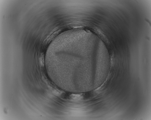 X0000100390170200806271405