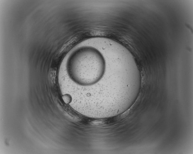 X0000100390171200806271405