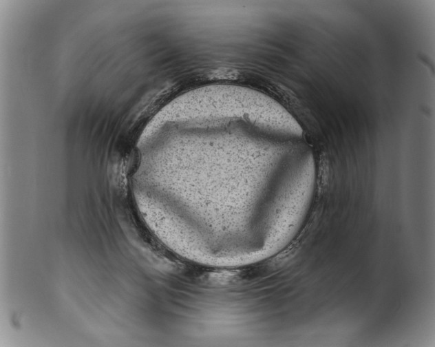 X0000100390172200806271405