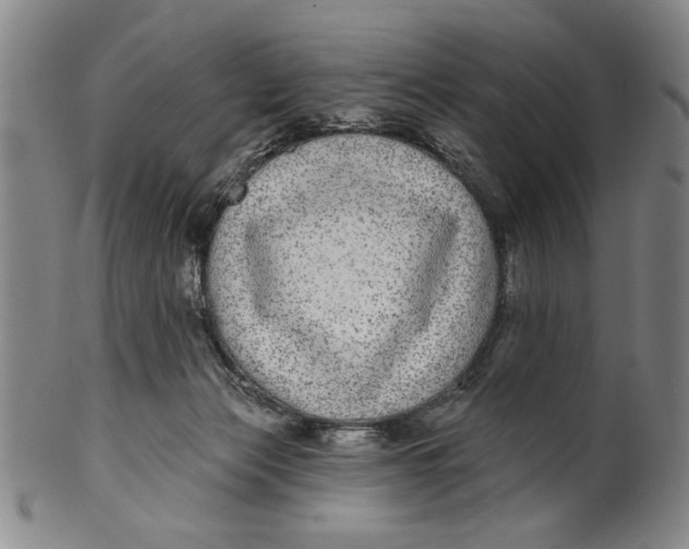 X0000100390173200806271405