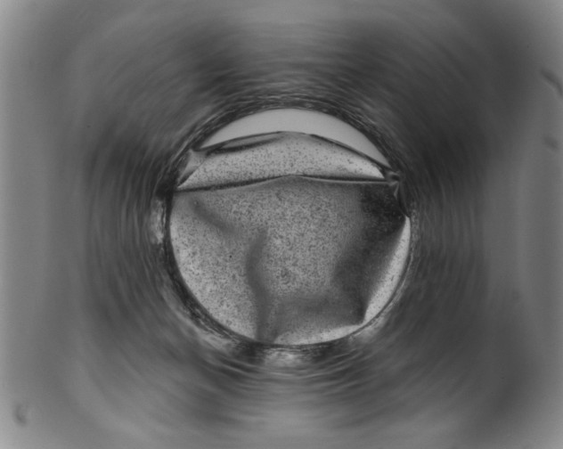 X0000100390174200806271405