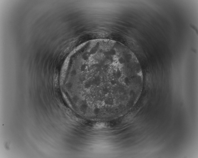 X0000100390177200806271405