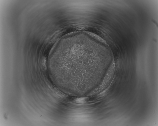 X0000100390178200806271405