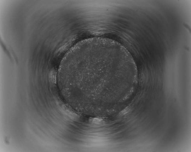 X0000100390180200806271405