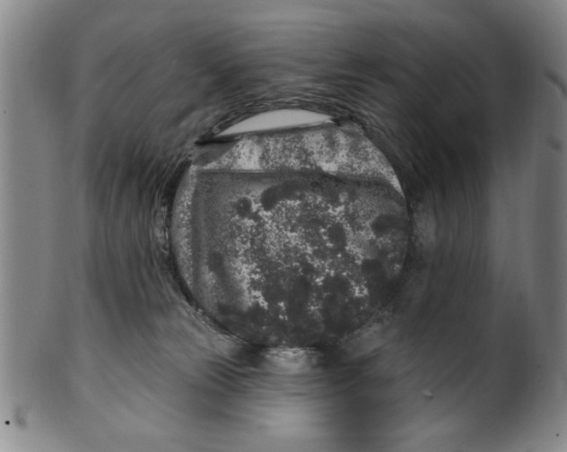 X0000100390181200806271405