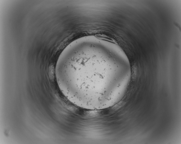 X0000100390184200806271406