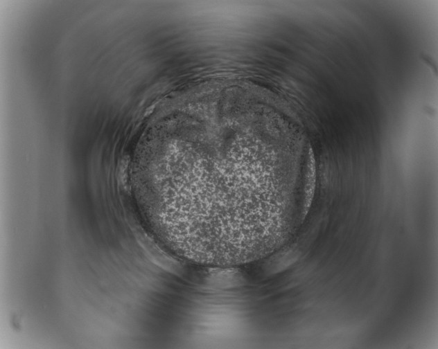 X0000100390185200806271406