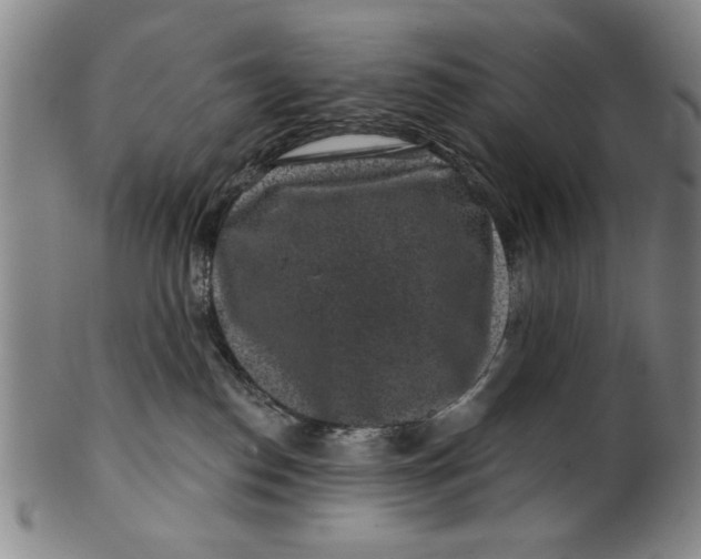 X0000100390186200806271406