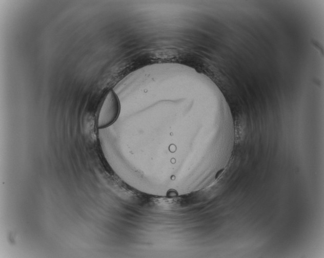 X0000100390187200806271406