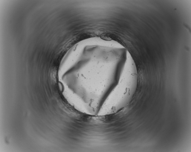 X0000100390188200806271406