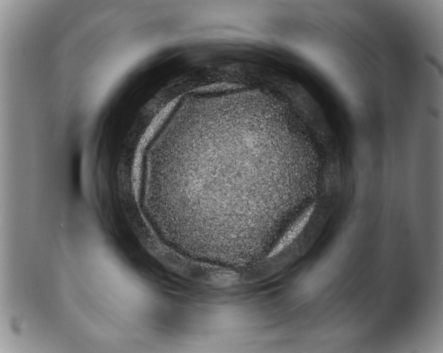 X0000100390189200806271406