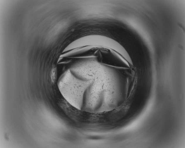 X0000100390190200806271406