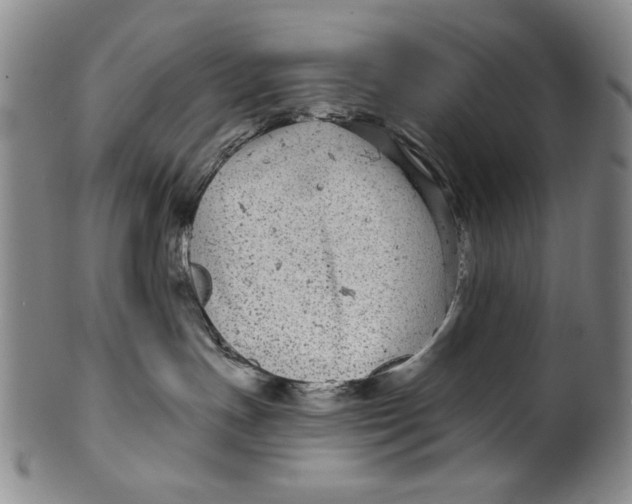 X0000100390191200806271406