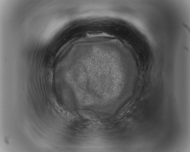 X0000100390194200806271405