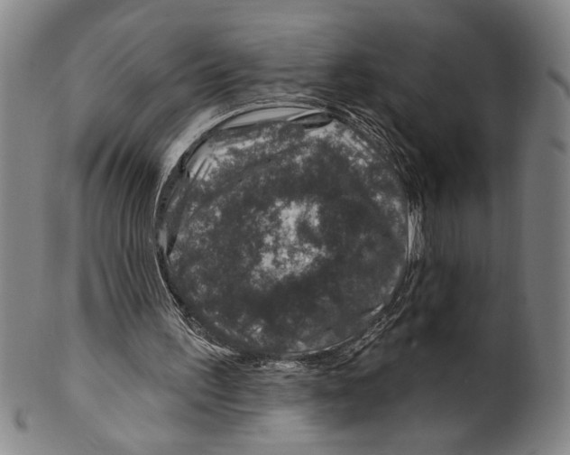 X0000100390195200806271405