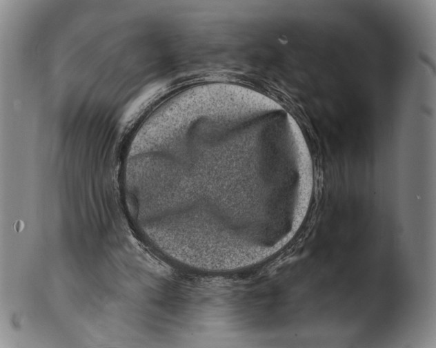 X0000100390197200806271405