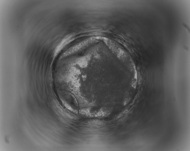 X0000100390198200806271405