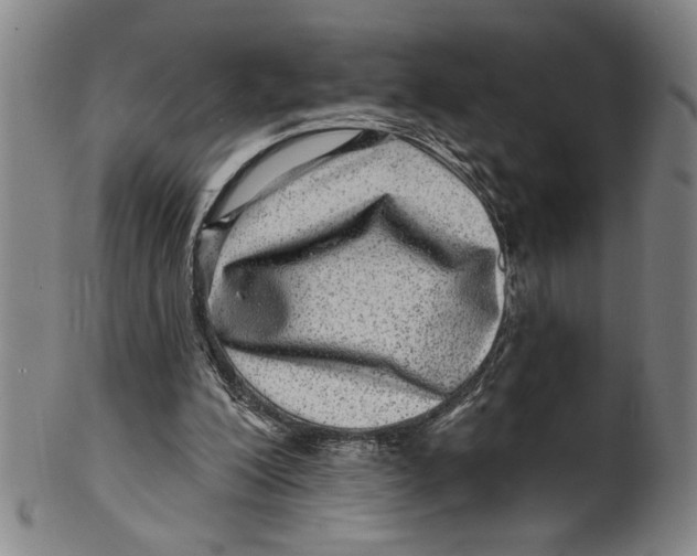 X0000100390200200806271405