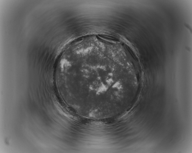 X0000100390203200806271405