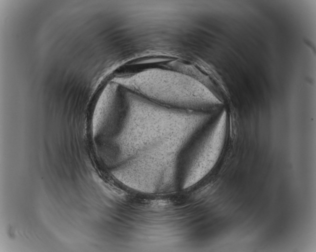 X0000100390204200806271405