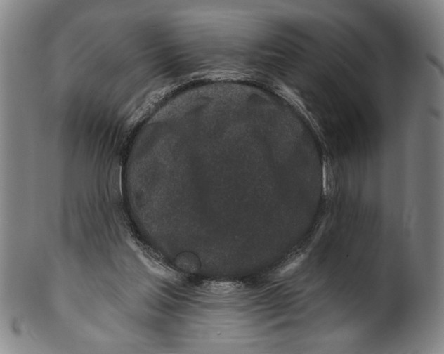 X0000100390205200806271405