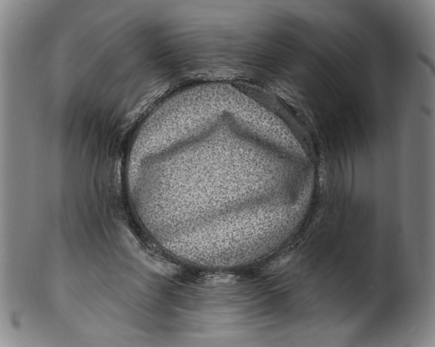 X0000100390206200806271405